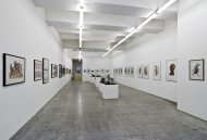 Jan Svankmajer, 2012, Installation Shot, Kerstin Engholm Galerie, Wien 