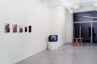 The Love of Look, curated by Kirsty Bell, Patterson Beckwith, Bernadette Corporation, Rachel Feinstein, Wade Guyton, Sissel Kardel, Rob Pruitt, Pitor Uklanski, Installationshot, Kerstin Engholm Galerie, 2001